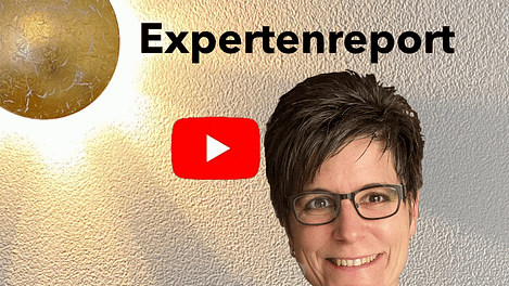 Expertenreport